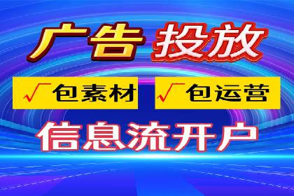 某某SEM团队成功案例：广告投放策略揭秘